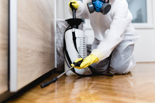 Best Wildlife Control Services  in Iowa, LA