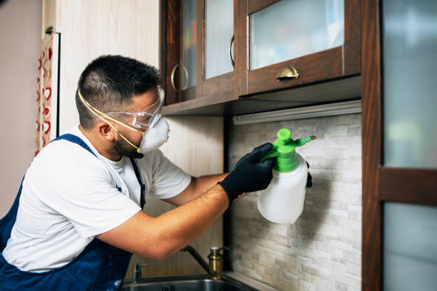 Best Pest Control Near Me  in Iowa, LA