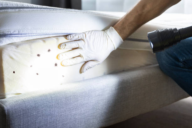 Trusted Iowa, LA Pest Control Experts