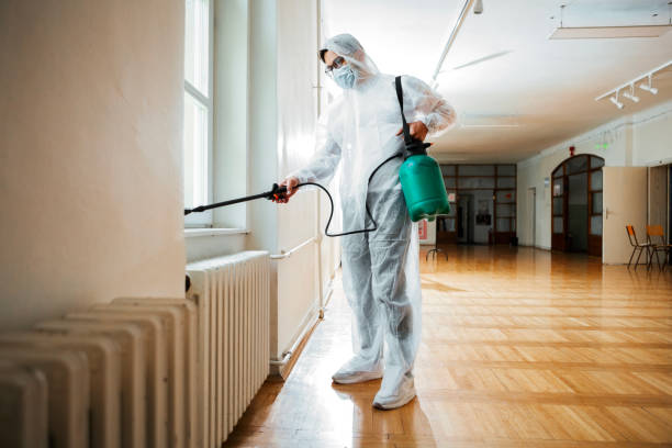 Best Exterminator Services  in Iowa, LA