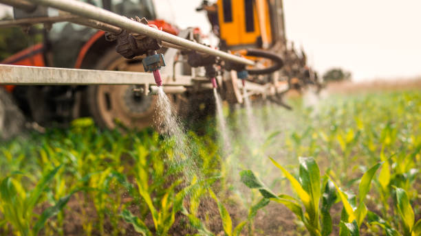 Best Pest Prevention Services  in Iowa, LA