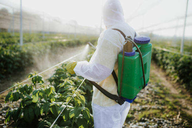 Best Pest Control for Homes  in Iowa, LA